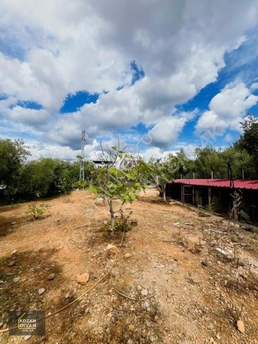 Kozan Divan Emlak'tan Aslanpaşa'da 4 Kata İmarlı Geniş Arsa — fotoğraf 11