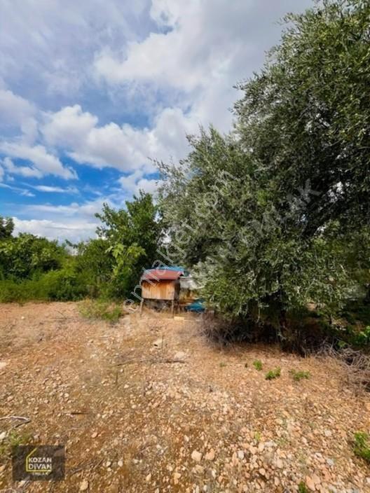 Kozan Divan Emlak'tan Aslanpaşa'da 4 Kata İmarlı Geniş Arsa — fotoğraf 17
