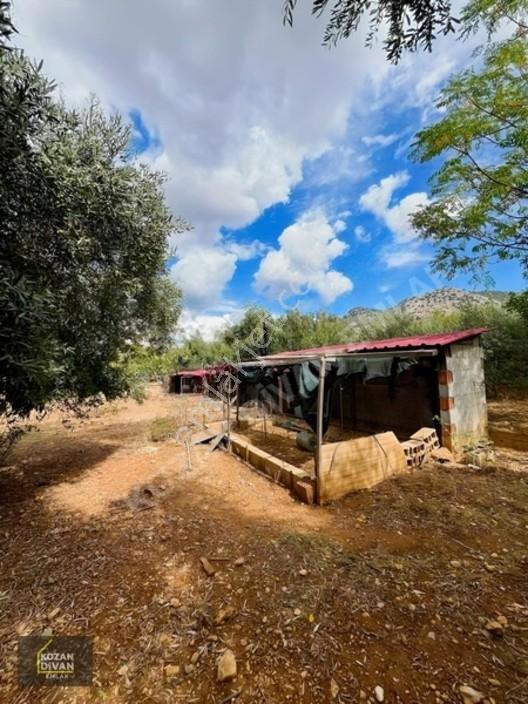 Kozan Divan Emlak'tan Aslanpaşa'da 4 Kata İmarlı Geniş Arsa — fotoğraf 18
