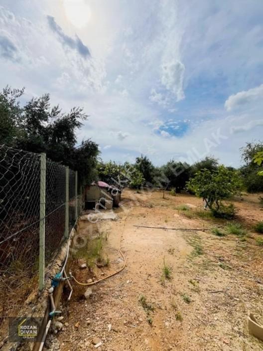 Kozan Divan Emlak'tan Aslanpaşa'da 4 Kata İmarlı Geniş Arsa — fotoğraf 24