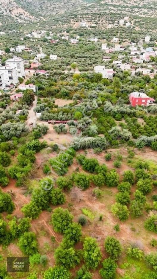 Kozan Divan Emlak'tan Aslanpaşa'da 4 Kata İmarlı Geniş Arsa — fotoğraf 25