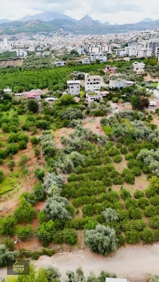 Kozan Divan Emlak'tan Aslanpaşa'da 4 Kata İmarlı Geniş Arsa — fotoğraf 26