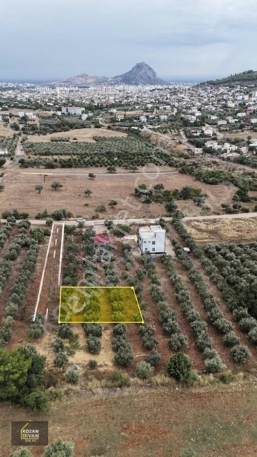 Kozan Divan Emlak'Tan Ağlıboğaz İlkokulu'Na Komşu 437 M2 Arsa