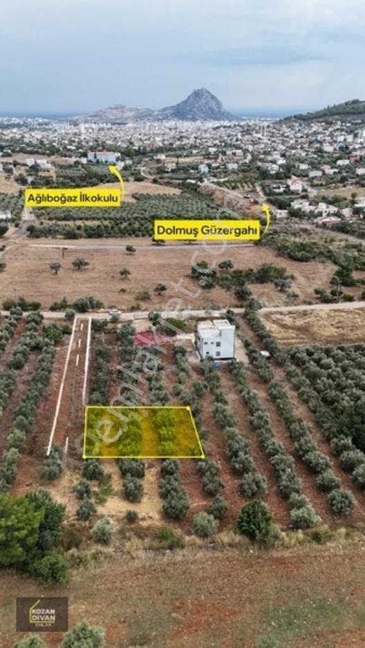 Kozan Divan Emlak'tan Ağlıboğaz İlkokulu'na Komşu 437 M2 Arsa — fotoğraf 2