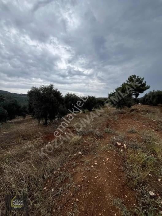 Kozan Divan Emlak'tan Ağlıboğaz İlkokulu'na Komşu 437 M2 Arsa — fotoğraf 4