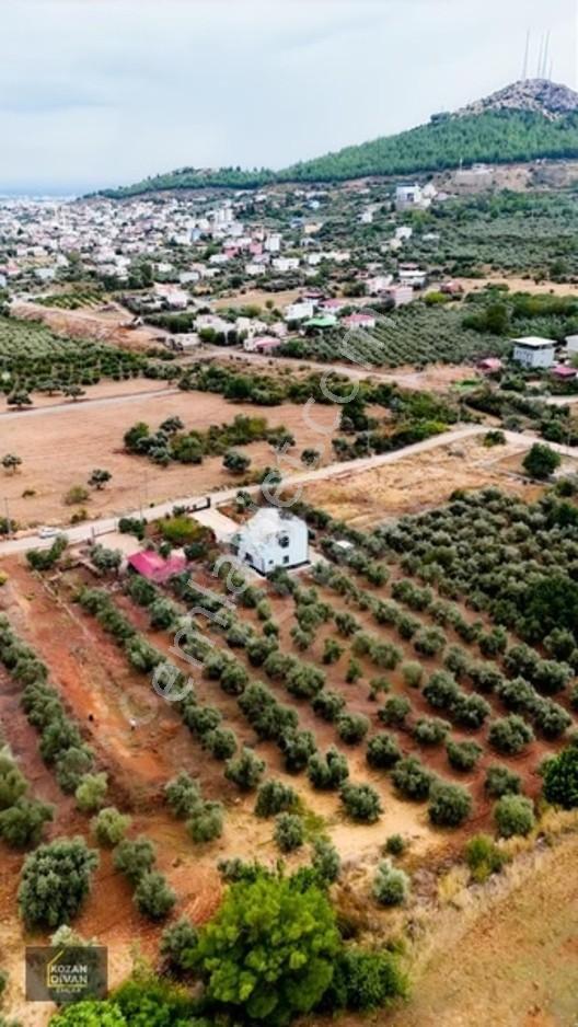 Kozan Divan Emlak'tan Ağlıboğaz İlkokulu'na Komşu 437 M2 Arsa — fotoğraf 5
