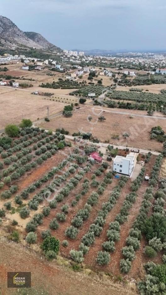 Kozan Divan Emlak'tan Ağlıboğaz İlkokulu'na Komşu 437 M2 Arsa — fotoğraf 7