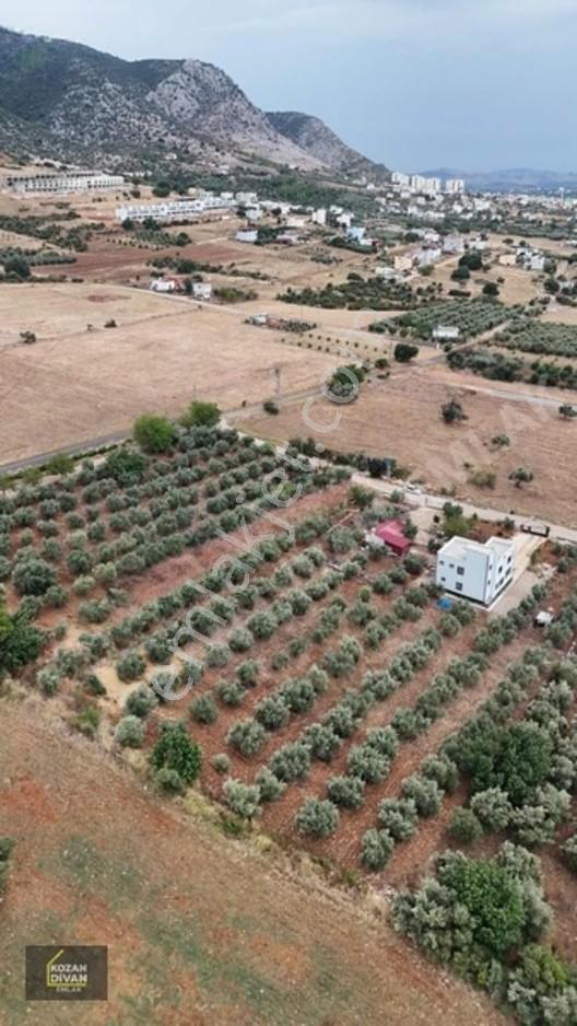 Kozan Divan Emlak'tan Ağlıboğaz İlkokulu'na Komşu 437 M2 Arsa — fotoğraf 8