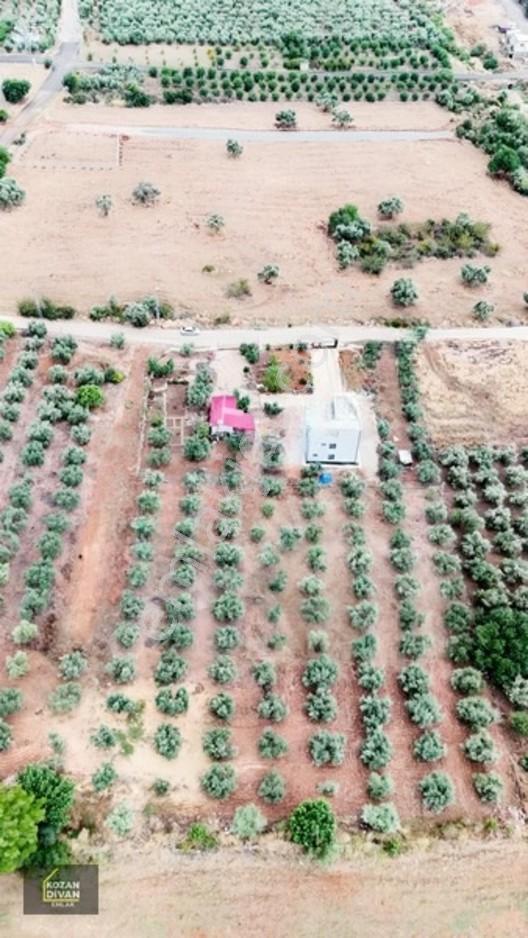 Kozan Divan Emlak'tan Ağlıboğaz İlkokulu'na Komşu 437 M2 Arsa — fotoğraf 9