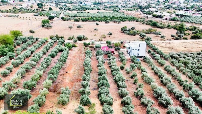 Kozan Divan Emlak'tan Ağlıboğaz İlkokulu'na Komşu 437 M2 Arsa — fotoğraf 10