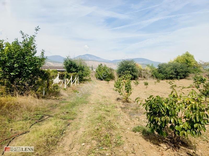 Bilecik Antalya Yolu Dibinde 4.615 M² Ulaşımı Rahat Fırsat Arazi
