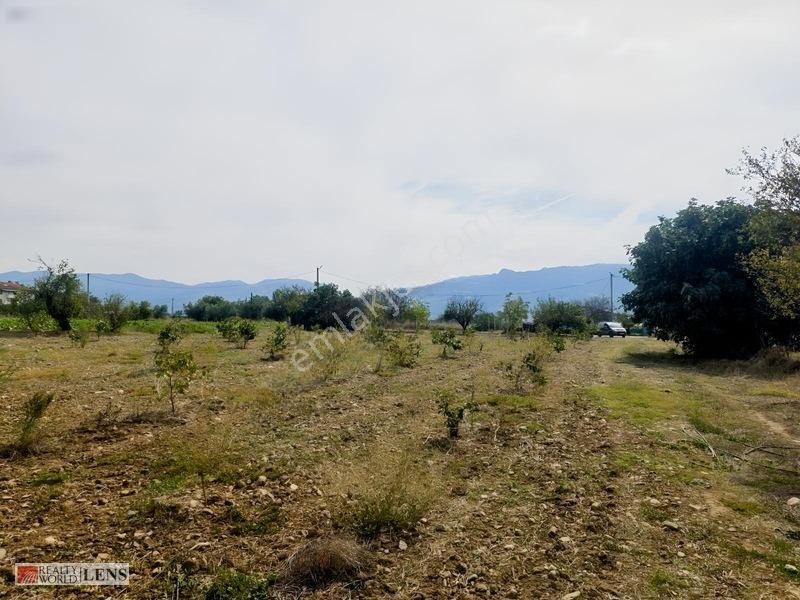 Bilecik Antalya Yolu Dibinde 4.615 M² Ulaşımı Rahat Fırsat Arazi — fotoğraf 3