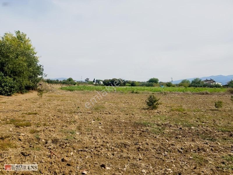 Bilecik Antalya Yolu Dibinde 4.615 M² Ulaşımı Rahat Fırsat Arazi — fotoğraf 9