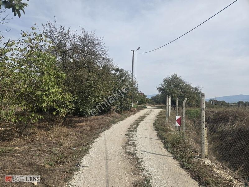 Bilecik Antalya Yolu Dibinde 4.615 M² Ulaşımı Rahat Fırsat Arazi — fotoğraf 10
