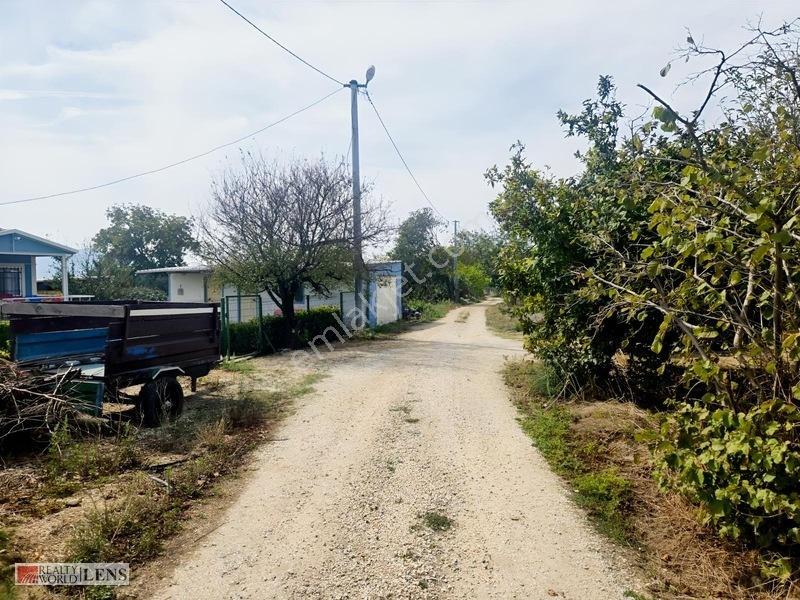 Bilecik Antalya Yolu Dibinde 4.615 M² Ulaşımı Rahat Fırsat Arazi — fotoğraf 11