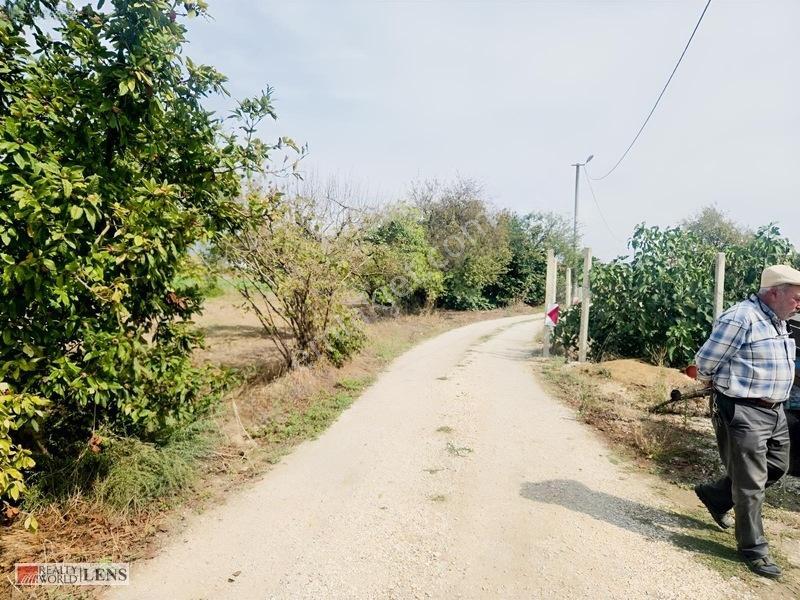 Bilecik Antalya Yolu Dibinde 4.615 M² Ulaşımı Rahat Fırsat Arazi — fotoğraf 12