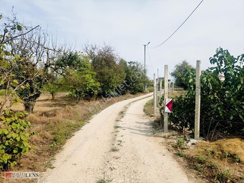 Bilecik Antalya Yolu Dibinde 4.615 M² Ulaşımı Rahat Fırsat Arazi — fotoğraf 13