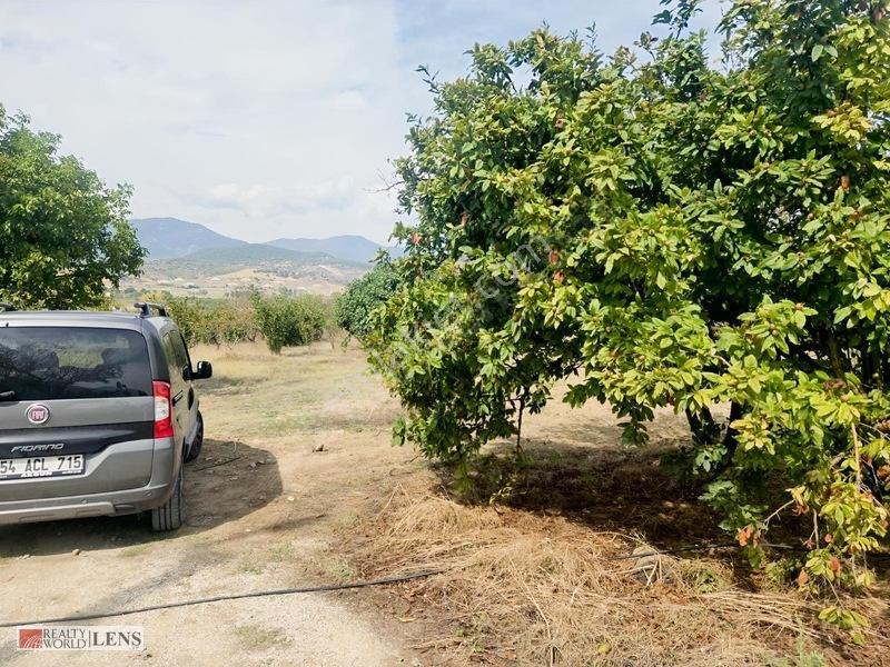 Bilecik Antalya Yolu Dibinde 4.615 M² Ulaşımı Rahat Fırsat Arazi — fotoğraf 14