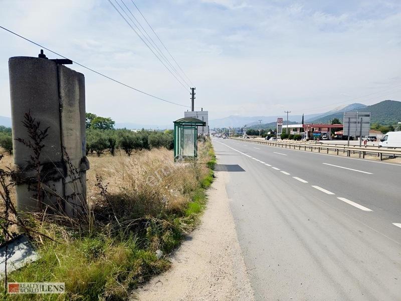 Bilecik Antalya Yolu Dibinde 4.615 M² Ulaşımı Rahat Fırsat Arazi — fotoğraf 15