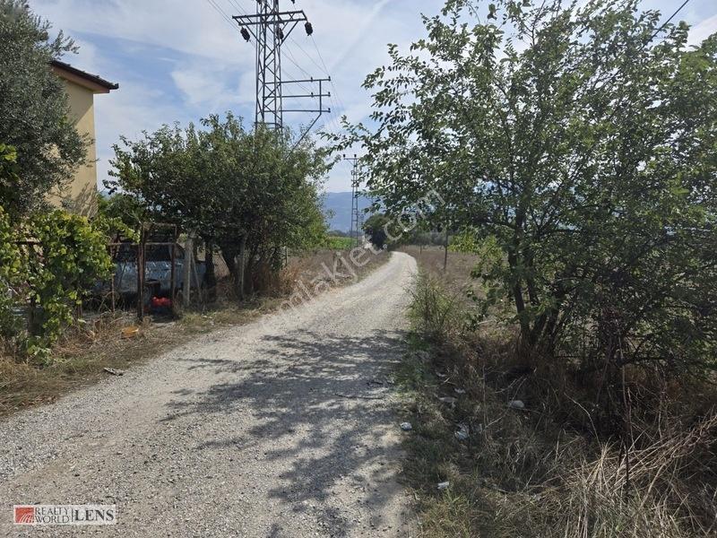Bilecik Antalya Yolu Dibinde 4.615 M² Ulaşımı Rahat Fırsat Arazi — fotoğraf 16