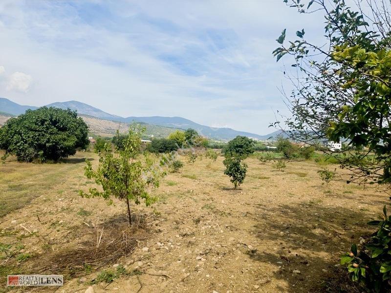 Bilecik Antalya Yolu Dibinde 4.615 M² Ulaşımı Rahat Fırsat Arazi — fotoğraf 17