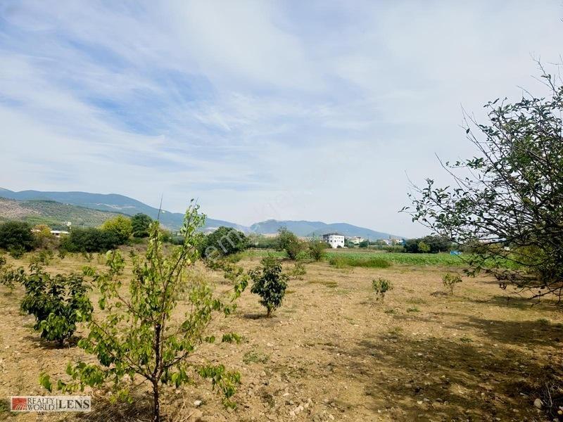 Bilecik Antalya Yolu Dibinde 4.615 M² Ulaşımı Rahat Fırsat Arazi — fotoğraf 18