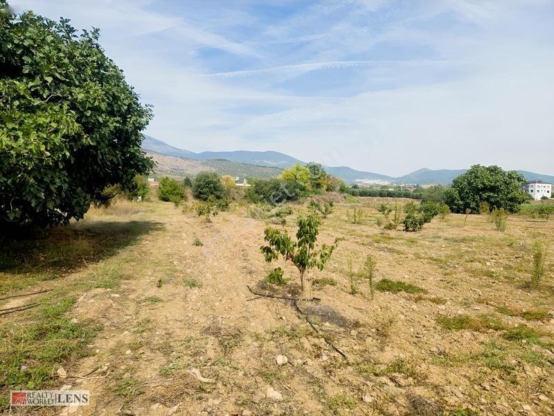 Bilecik Antalya Yolu Dibinde 4.615 M² Ulaşımı Rahat Fırsat Arazi — fotoğraf 19