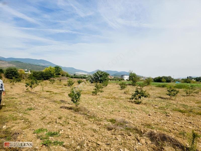 Bilecik Antalya Yolu Dibinde 4.615 M² Ulaşımı Rahat Fırsat Arazi — fotoğraf 20