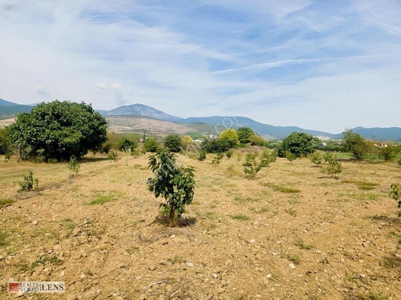 Bilecik Antalya Yolu Dibinde 4.615 M² Ulaşımı Rahat Fırsat Arazi — fotoğraf 21