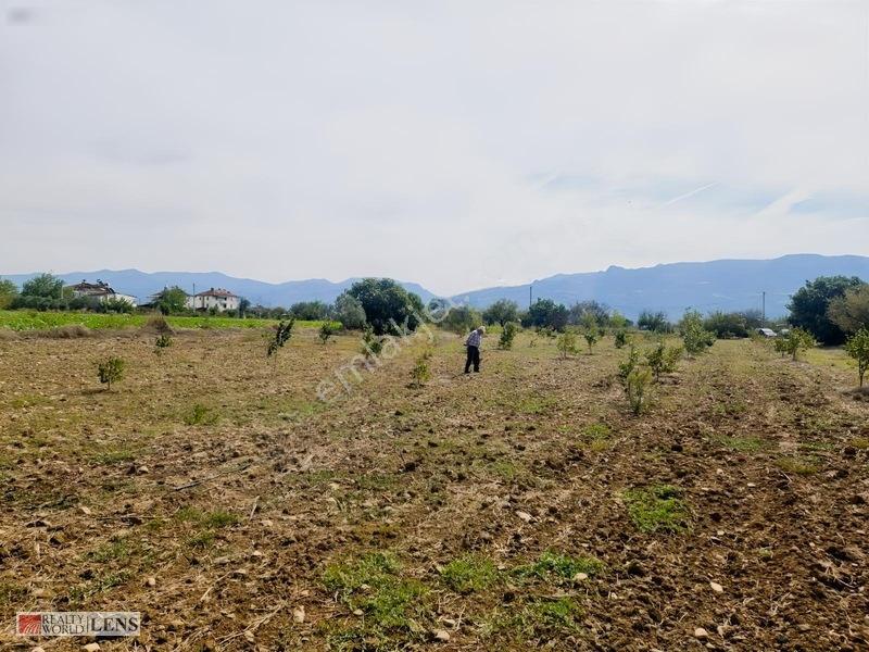 Bilecik Antalya Yolu Dibinde 4.615 M² Ulaşımı Rahat Fırsat Arazi — fotoğraf 23