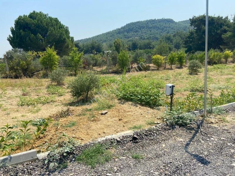 Menderes Çatalcada Satılık Hobi Bahçesi