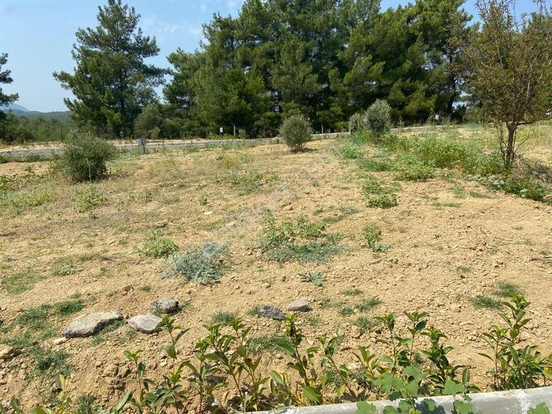 Menderes Çatalcada Satılık Hobi Bahçesi — fotoğraf 2
