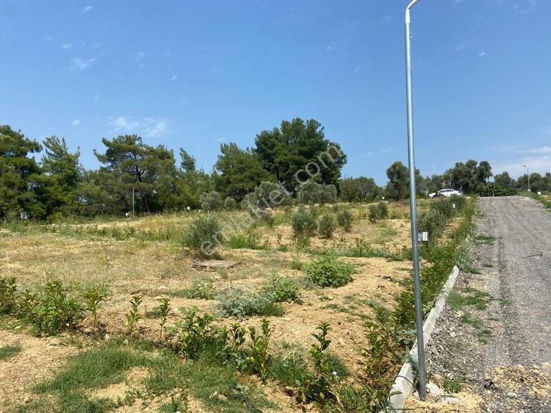 Menderes Çatalcada Satılık Hobi Bahçesi — fotoğraf 3