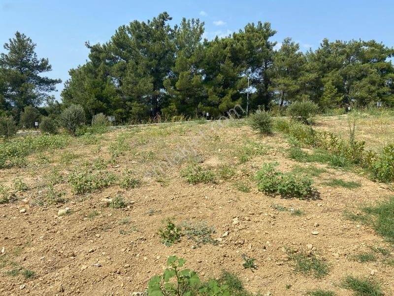 Menderes Çatalcada Satılık Hobi Bahçesi — fotoğraf 4