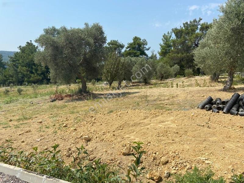 Menderes Çatalcada Satılık Hobi Bahçesi — fotoğraf 7