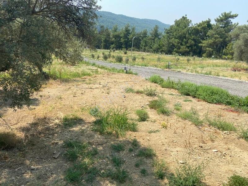 Menderes Çatalcada Satılık Hobi Bahçesi — fotoğraf 8