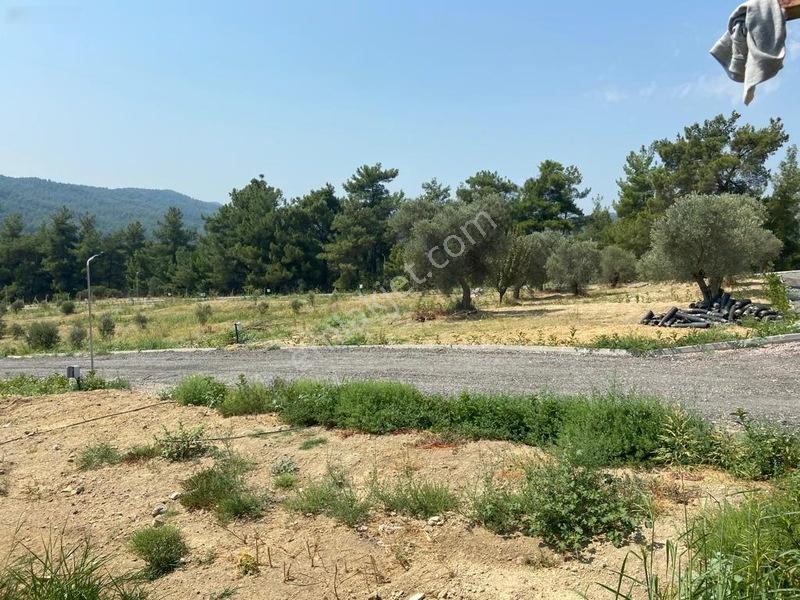Menderes Çatalcada Satılık Hobi Bahçesi — fotoğraf 9