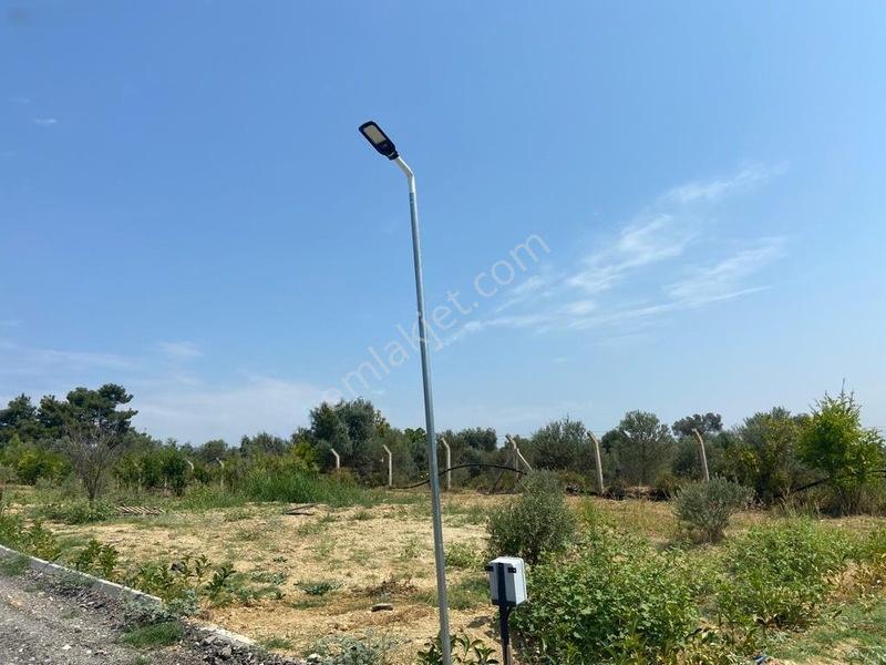 Menderes Çatalcada Satılık Hobi Bahçesi — fotoğraf 11