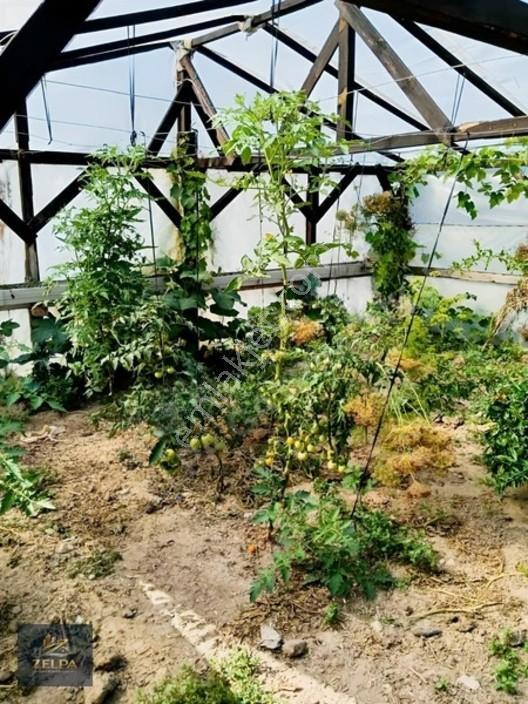 Tekirdağ Kapaklı Da 343 M² İçinde Evi Bulunan Satılık Tarla