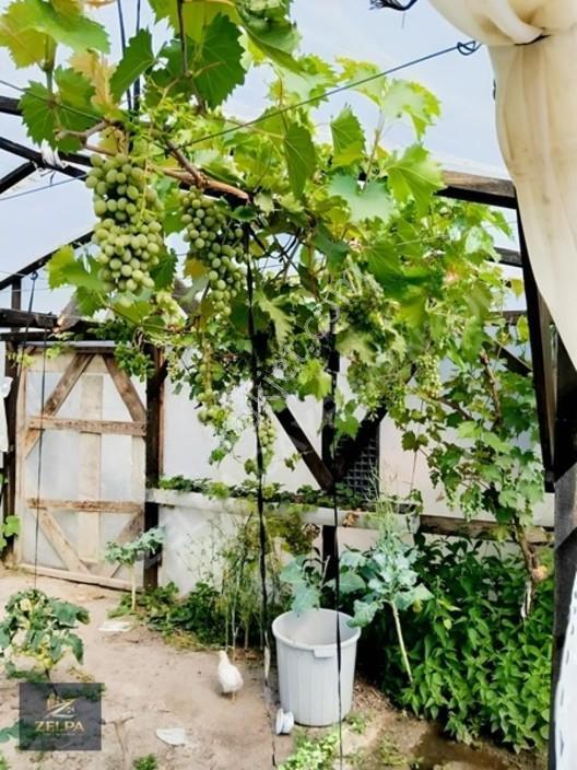 Tekirdağ Kapaklı Da 343 M² İçinde Evi Bulunan Satılık Tarla — fotoğraf 4