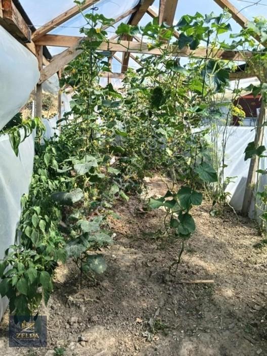 Tekirdağ Kapaklı Da 343 M² İçinde Evi Bulunan Satılık Tarla — fotoğraf 6