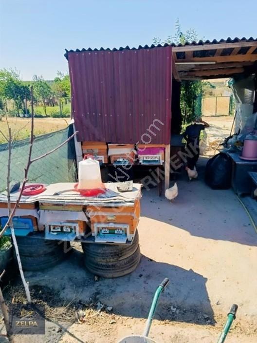 Tekirdağ Kapaklı Da 343 M² İçinde Evi Bulunan Satılık Tarla — fotoğraf 12