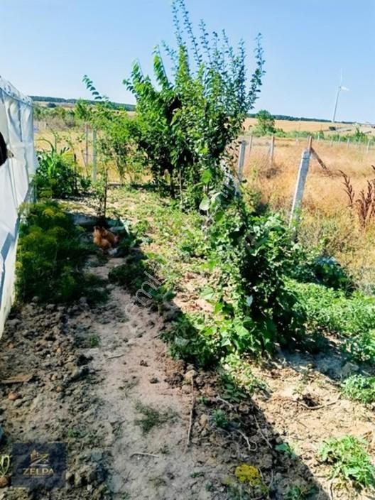 Tekirdağ Kapaklı Da 343 M² İçinde Evi Bulunan Satılık Tarla — fotoğraf 15