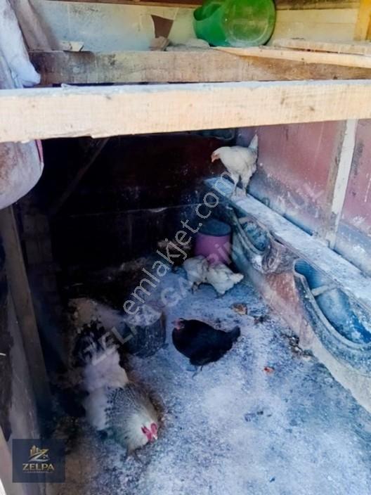 Tekirdağ Kapaklı Da 343 M² İçinde Evi Bulunan Satılık Tarla — fotoğraf 20
