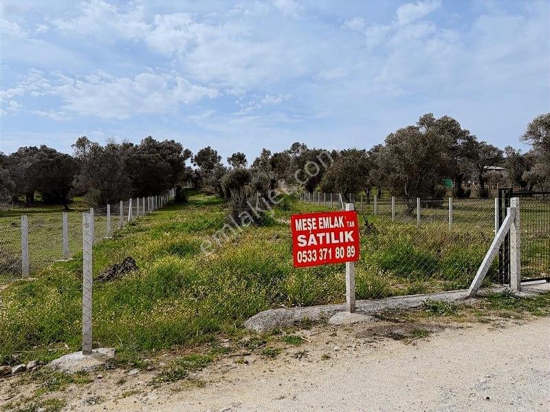 Menderes Dereköy'De Satılık Hisse Tapu Meşe Emlak'Tan