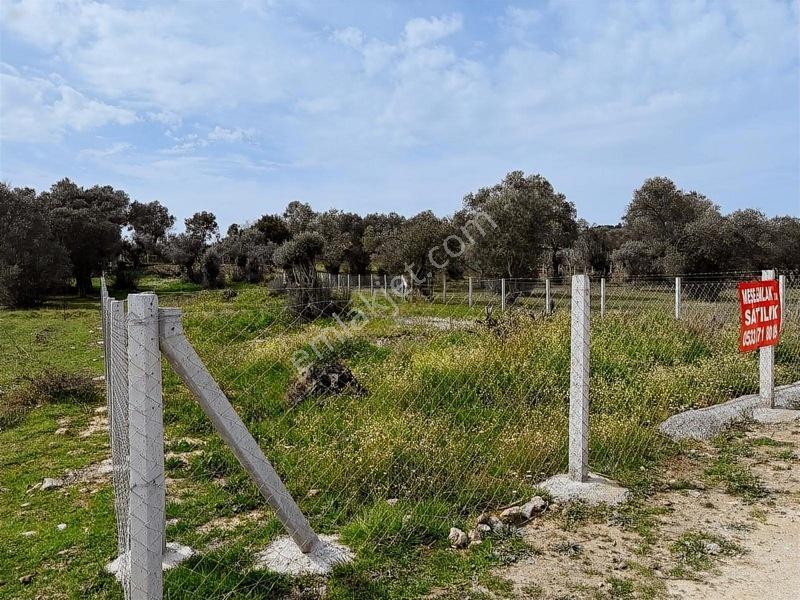 Menderes Dereköy'de Satılık Hisse Tapu Meşe Emlak'tan — fotoğraf 2