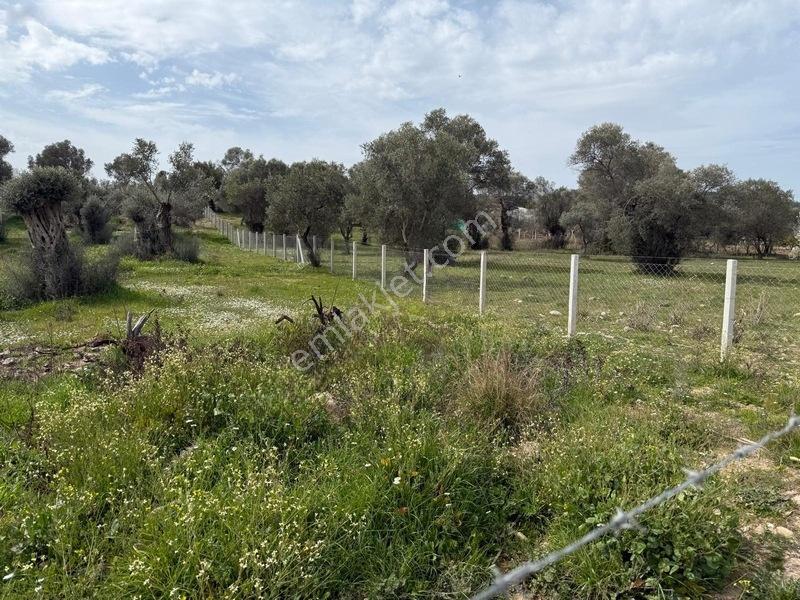 Menderes Dereköy'de Satılık Hisse Tapu Meşe Emlak'tan — fotoğraf 4