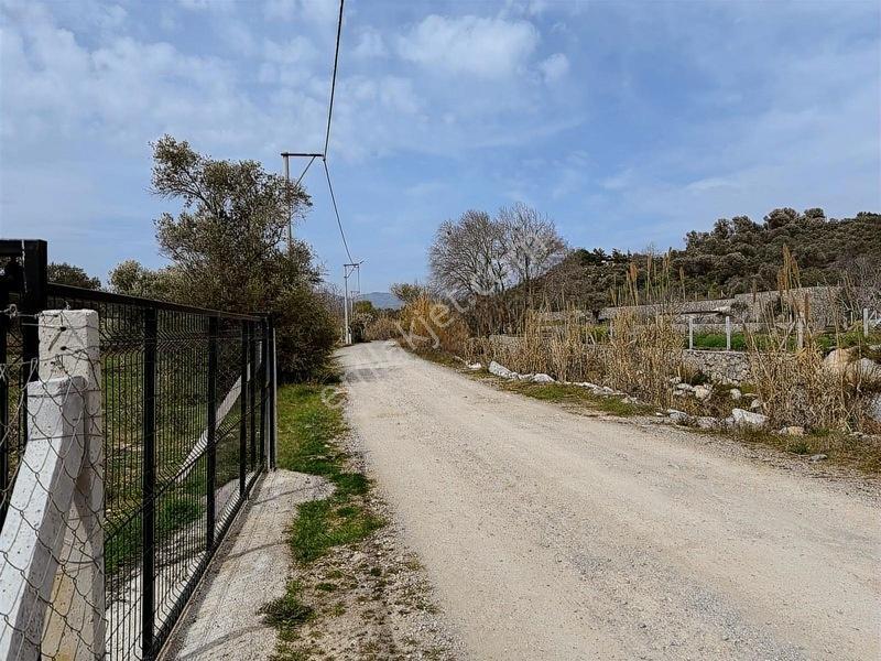 Menderes Dereköy'de Satılık Hisse Tapu Meşe Emlak'tan — fotoğraf 5