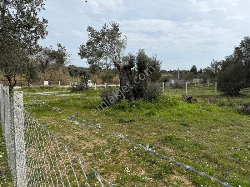 Menderes Dereköy'de Satılık Hisse Tapu Meşe Emlak'tan — fotoğraf 8