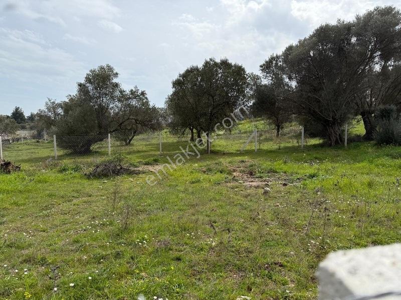 Menderes Dereköy'de Satılık Hisse Tapu Meşe Emlak'tan — fotoğraf 10